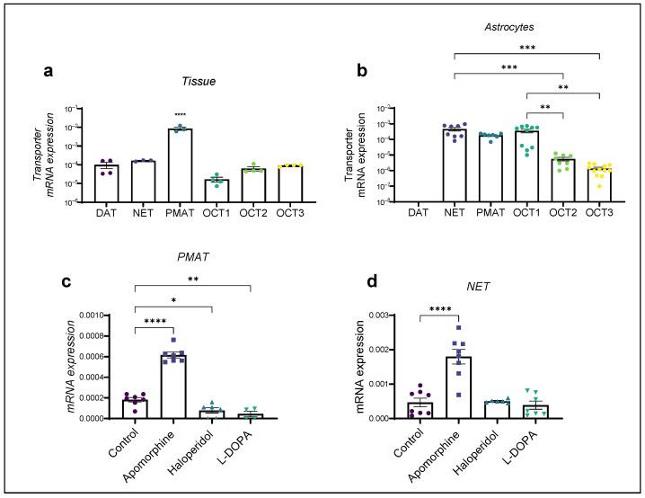 https://cdn.ncbi.nlm.nih.gov/pmc/blobs/69d3/11121484/cc70df8c8571/ijms-25-05135-g003.jpg