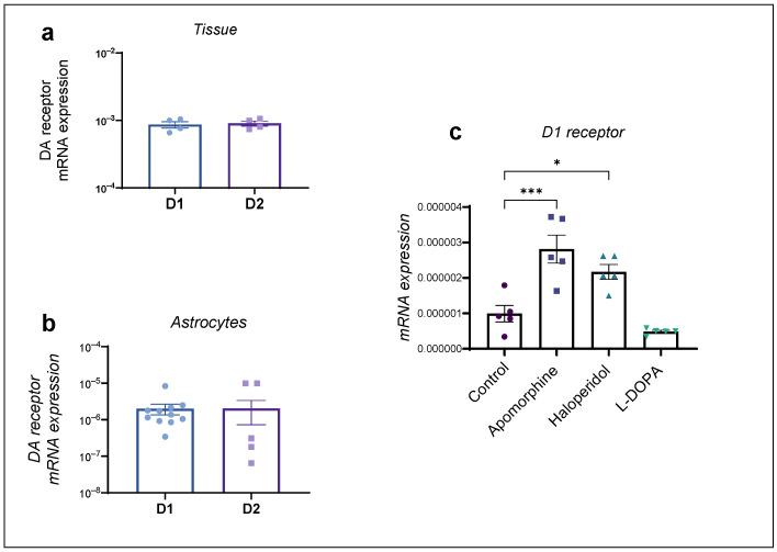 https://cdn.ncbi.nlm.nih.gov/pmc/blobs/69d3/11121484/fe87a2db60c5/ijms-25-05135-g004.jpg