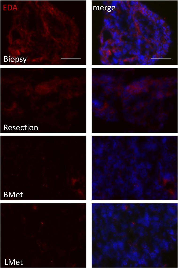 https://cdn.ncbi.nlm.nih.gov/pmc/blobs/69d5/5406547/47eed64cebf2/gr1.jpg