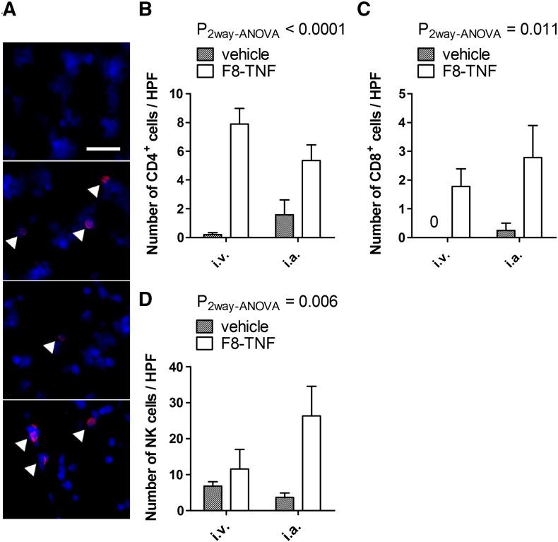 https://cdn.ncbi.nlm.nih.gov/pmc/blobs/69d5/5406547/e551456a8249/gr3.jpg