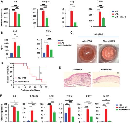 https://cdn.ncbi.nlm.nih.gov/pmc/blobs/69d8/10700181/57aea336c1d4/ADVS-10-2304922-g003.jpg