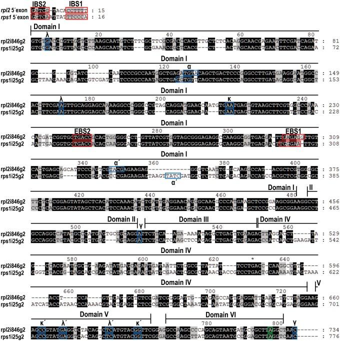 https://cdn.ncbi.nlm.nih.gov/pmc/blobs/69d9/4986890/07dfde193351/1338F1.jpg
