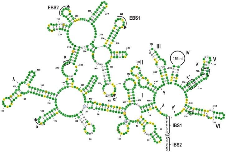 https://cdn.ncbi.nlm.nih.gov/pmc/blobs/69d9/4986890/4bb4993aeeb5/1338F3.jpg