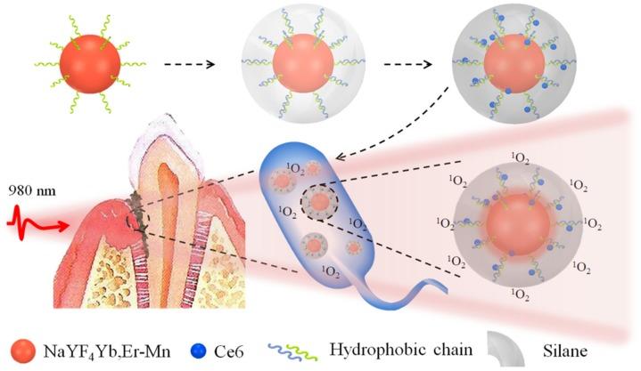 https://cdn.ncbi.nlm.nih.gov/pmc/blobs/69da/6695946/81ada93c467c/molecules-24-02692-g001.jpg