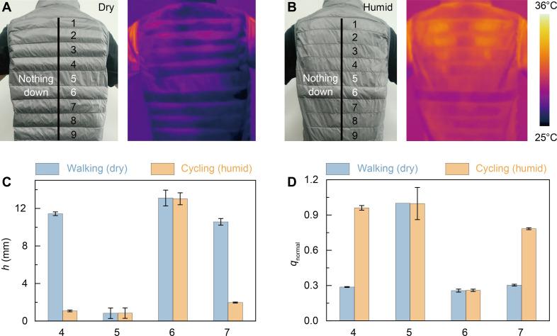 https://cdn.ncbi.nlm.nih.gov/pmc/blobs/69e0/12346341/814d87a73fd7/sciadv.adu3472-f4.jpg