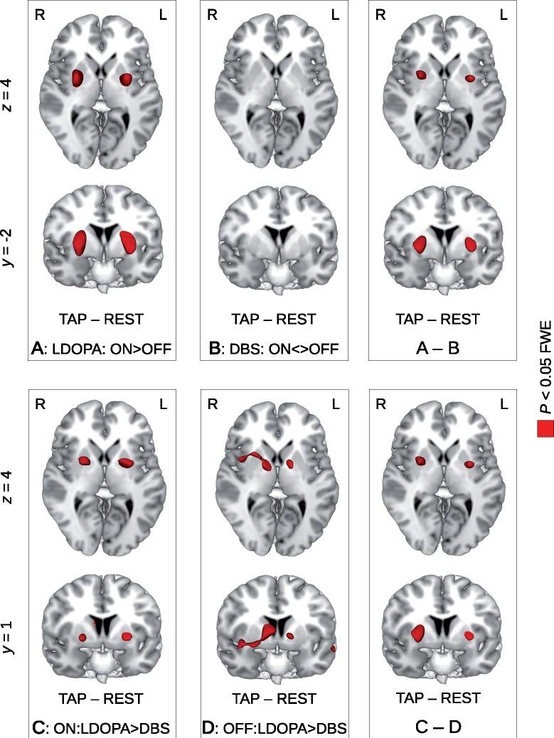 https://cdn.ncbi.nlm.nih.gov/pmc/blobs/69e1/7425344/0ccf47dddac5/fcaa005f4.jpg