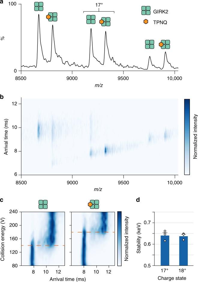 https://cdn.ncbi.nlm.nih.gov/pmc/blobs/69e2/6430785/51bb0383a075/41467_2019_9333_Fig2_HTML.jpg