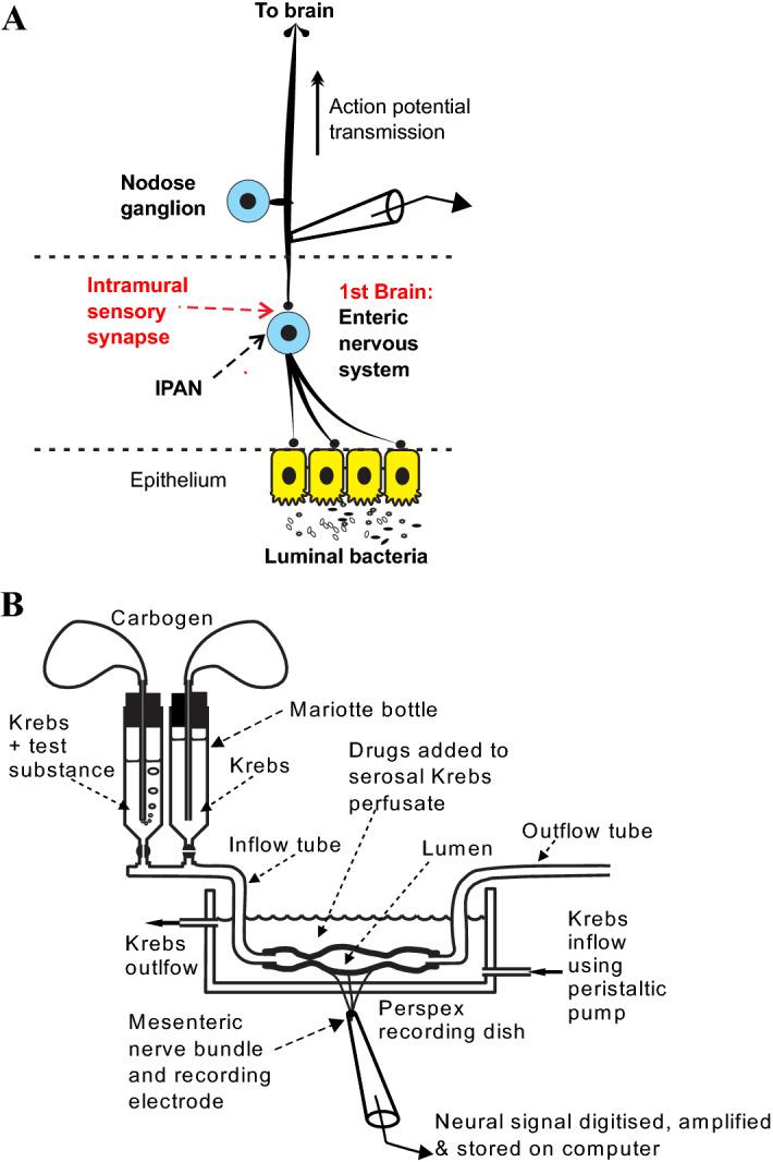 https://cdn.ncbi.nlm.nih.gov/pmc/blobs/69e2/8548562/3e16b0e9bf4d/41598_2021_615_Fig1_HTML.jpg