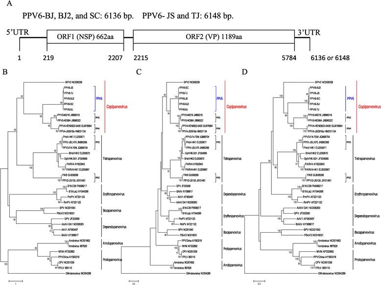 https://cdn.ncbi.nlm.nih.gov/pmc/blobs/69e3/4265361/902c8dfc1d38/12985_2014_203_Fig1_HTML.jpg