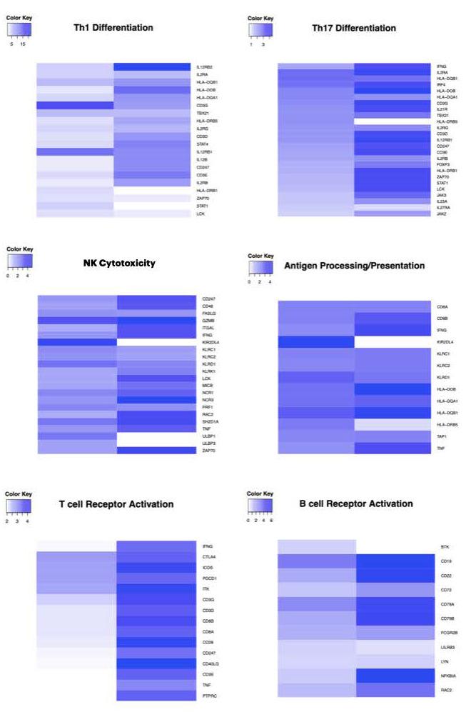 https://cdn.ncbi.nlm.nih.gov/pmc/blobs/69e5/8533888/7e3e84190c78/biomolecules-11-01501-g001.jpg