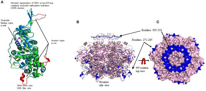 https://cdn.ncbi.nlm.nih.gov/pmc/blobs/69e5/9513038/2f5ece97e030/frai-05-952997-g0002.jpg