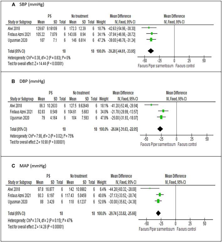 https://cdn.ncbi.nlm.nih.gov/pmc/blobs/69e6/9453491/3a9992825212/fphar-13-976247-g007.jpg