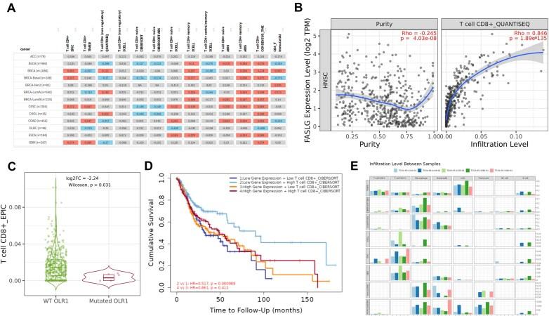 https://cdn.ncbi.nlm.nih.gov/pmc/blobs/69e7/12230722/ff4e6efb70b6/gkaf388fig2.jpg
