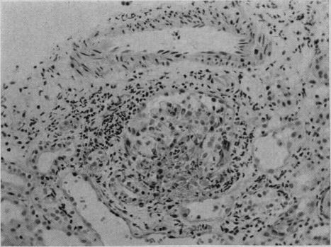 https://cdn.ncbi.nlm.nih.gov/pmc/blobs/69e8/1922329/f3310a8d66a7/canmedaj01029-0008-b.jpg