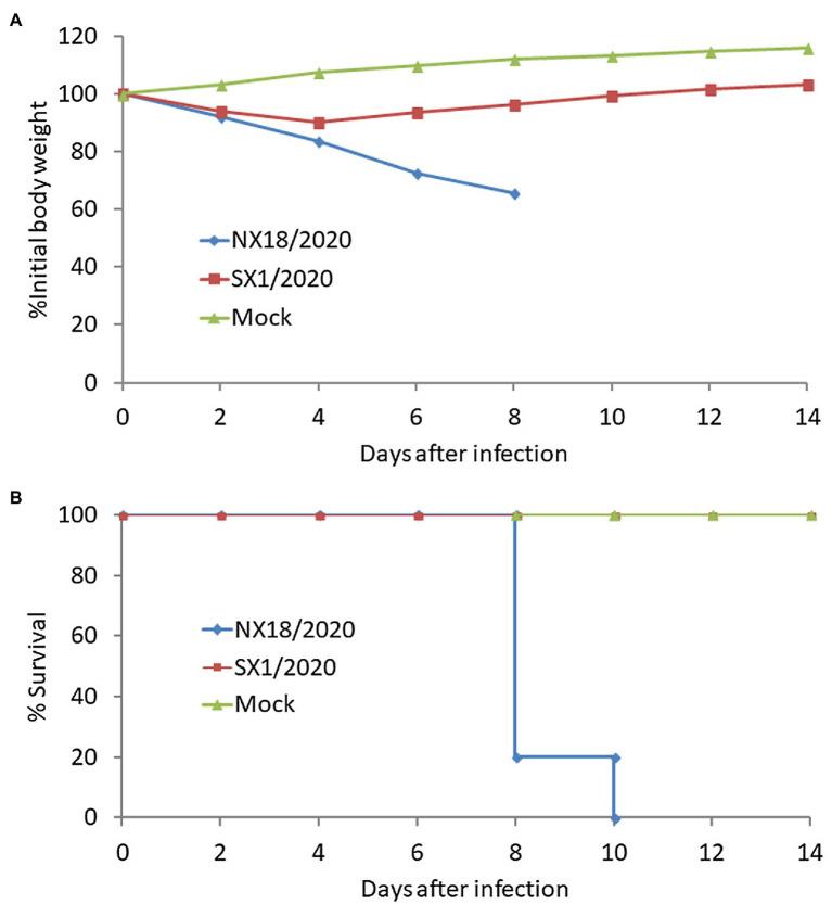 https://cdn.ncbi.nlm.nih.gov/pmc/blobs/69e9/9122345/cca8909564ff/fmicb-13-893253-g003.jpg
