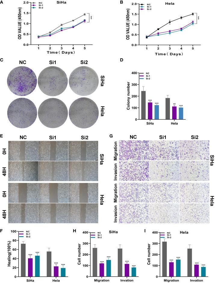 https://cdn.ncbi.nlm.nih.gov/pmc/blobs/69ea/10933018/46e6d2ee7180/fimmu-15-1351287-g010.jpg
