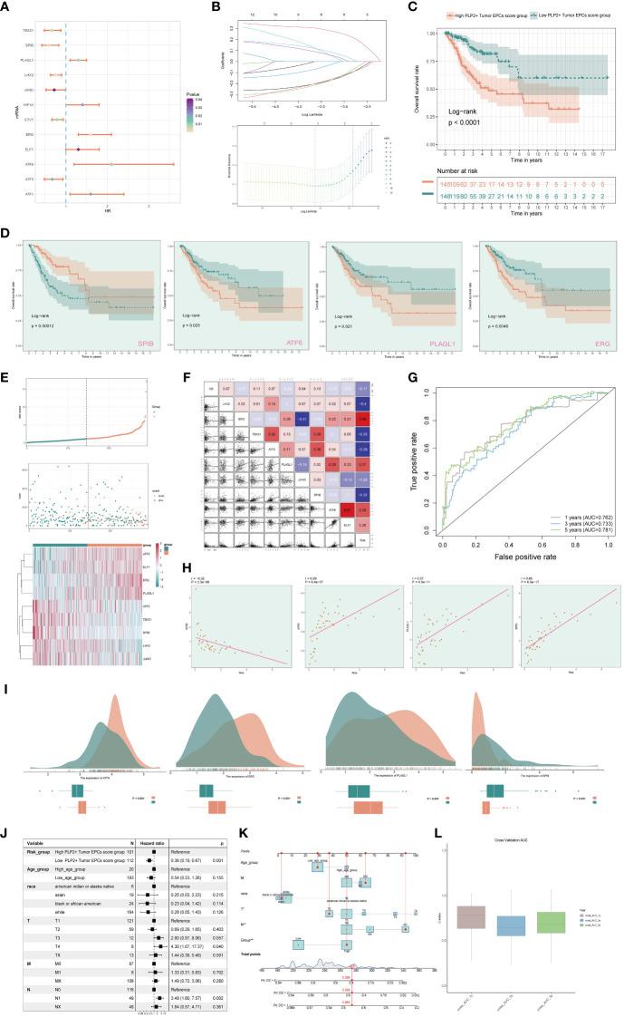 https://cdn.ncbi.nlm.nih.gov/pmc/blobs/69ea/10933018/4f9827c38e55/fimmu-15-1351287-g007.jpg
