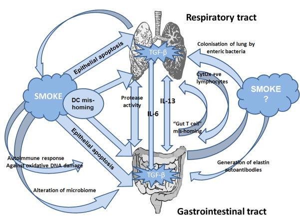 https://cdn.ncbi.nlm.nih.gov/pmc/blobs/69ec/3243663/f200285b8029/nihms337051f1.jpg