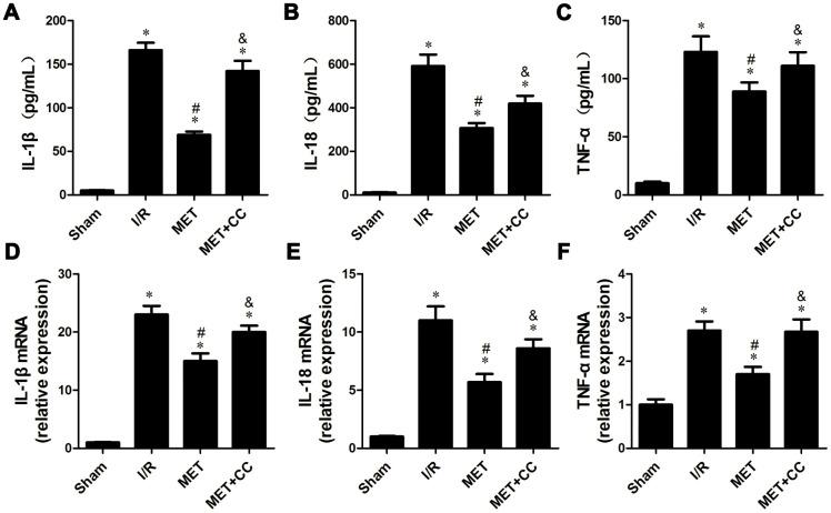 https://cdn.ncbi.nlm.nih.gov/pmc/blobs/69ec/7762510/6e02c7e088c0/aging-12-202143-g005.jpg