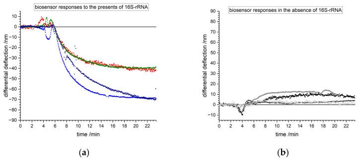 https://cdn.ncbi.nlm.nih.gov/pmc/blobs/69ed/12025282/2949377cd057/biosensors-15-00217-g006.jpg