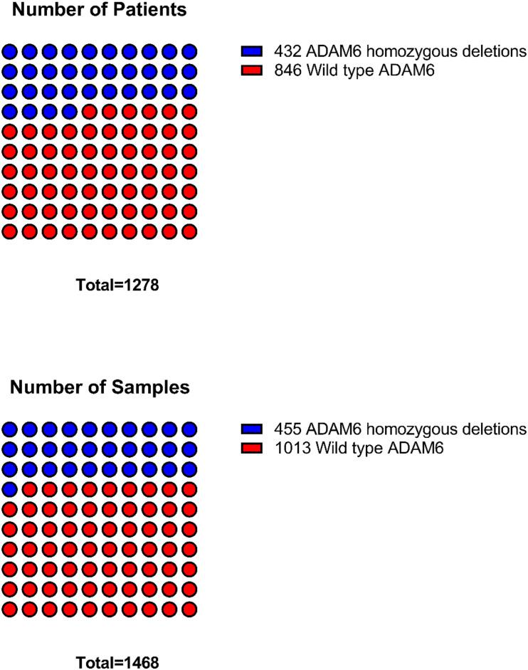 https://cdn.ncbi.nlm.nih.gov/pmc/blobs/69ed/8269160/41aaf17114e5/fcell-09-706129-g002.jpg