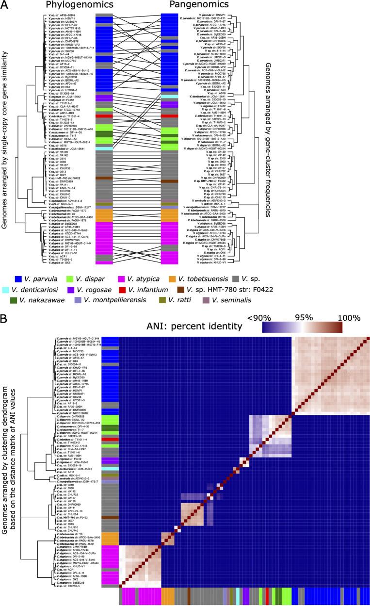 https://cdn.ncbi.nlm.nih.gov/pmc/blobs/69ed/9927086/6aeb396fb676/spectrum.04042-22-f002.jpg