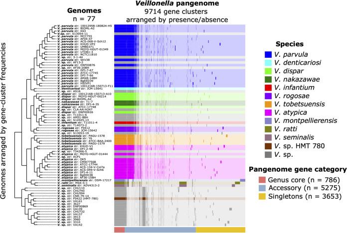 https://cdn.ncbi.nlm.nih.gov/pmc/blobs/69ed/9927086/73870733b6a5/spectrum.04042-22-f001.jpg