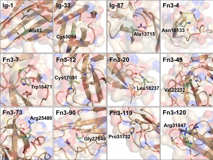 https://cdn.ncbi.nlm.nih.gov/pmc/blobs/69ef/7882473/e7379d57ac0e/401_2020_2257_Fig4_HTML.jpg