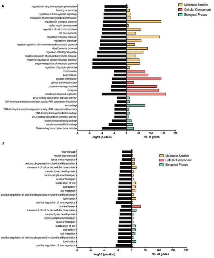https://cdn.ncbi.nlm.nih.gov/pmc/blobs/69f2/7511553/695d01ba61bd/fnins-14-580524-g003.jpg