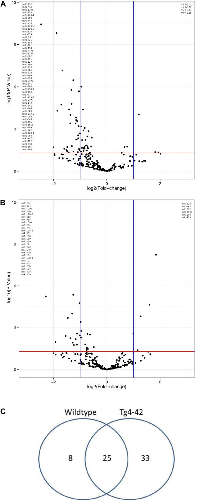 https://cdn.ncbi.nlm.nih.gov/pmc/blobs/69f2/7511553/f21b8ee9a9da/fnins-14-580524-g001.jpg