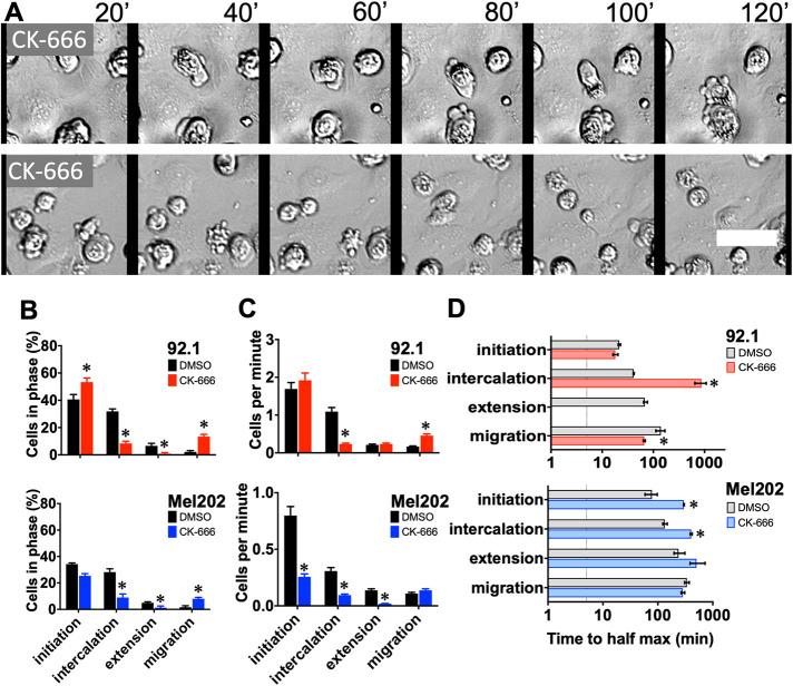 https://cdn.ncbi.nlm.nih.gov/pmc/blobs/69f3/8098856/278f4d40bffc/mbc-32-413-g004.jpg