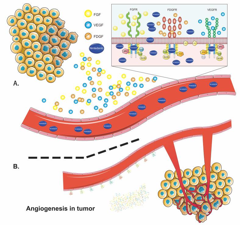https://cdn.ncbi.nlm.nih.gov/pmc/blobs/69f3/9872202/2144e1d53db9/fimmu-13-1072612-g007.jpg