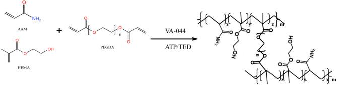 https://cdn.ncbi.nlm.nih.gov/pmc/blobs/69f5/11969017/f794a2656645/41598_2025_94479_Fig1_HTML.jpg
