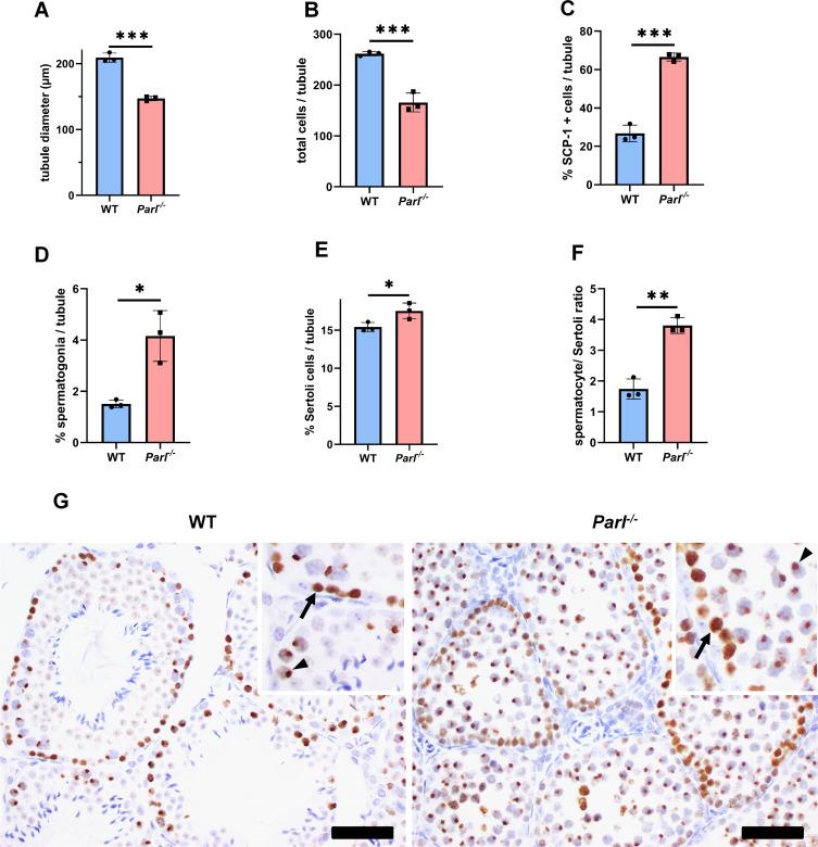 https://cdn.ncbi.nlm.nih.gov/pmc/blobs/69f6/10519710/b523f1699d76/elife-84710-fig1-figsupp1.jpg