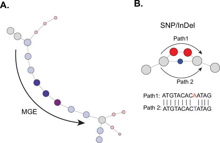 https://cdn.ncbi.nlm.nih.gov/pmc/blobs/69f6/12043316/c2e23af17ba0/elife-90668-fig2-figsupp2.jpg