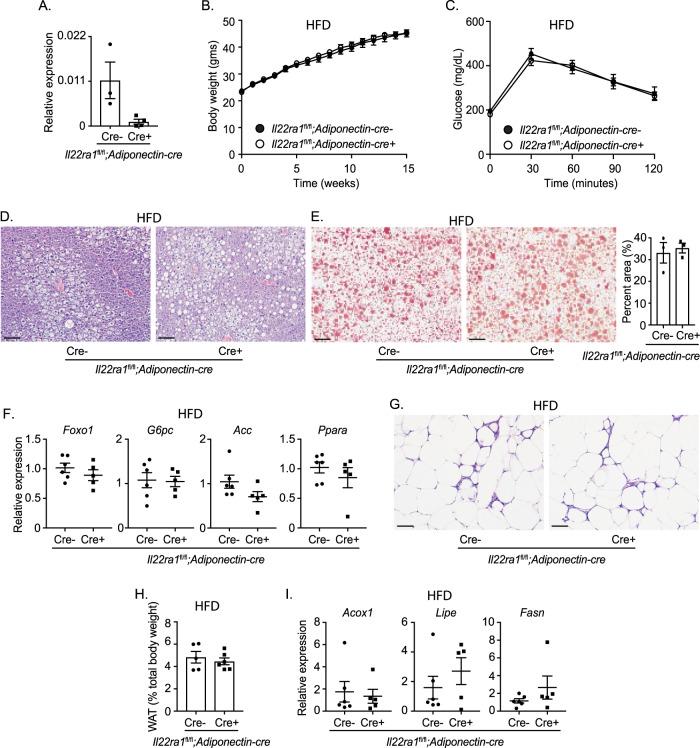 https://cdn.ncbi.nlm.nih.gov/pmc/blobs/69f7/10881576/3e40cb58a0c4/41467_2024_45568_Fig5_HTML.jpg