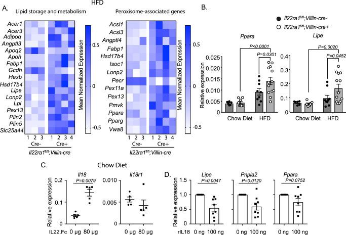 https://cdn.ncbi.nlm.nih.gov/pmc/blobs/69f7/10881576/6c6e18807e0e/41467_2024_45568_Fig6_HTML.jpg