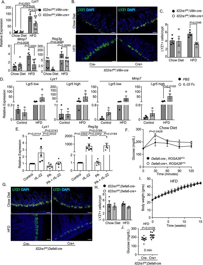https://cdn.ncbi.nlm.nih.gov/pmc/blobs/69f7/10881576/8628507e845d/41467_2024_45568_Fig7_HTML.jpg