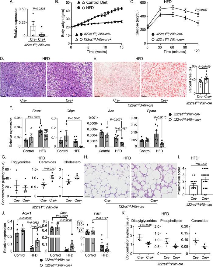 https://cdn.ncbi.nlm.nih.gov/pmc/blobs/69f7/10881576/b23e536dc0d2/41467_2024_45568_Fig2_HTML.jpg