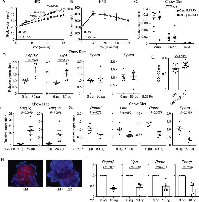 https://cdn.ncbi.nlm.nih.gov/pmc/blobs/69f7/10881576/b26b8e1d283b/41467_2024_45568_Fig1_HTML.jpg