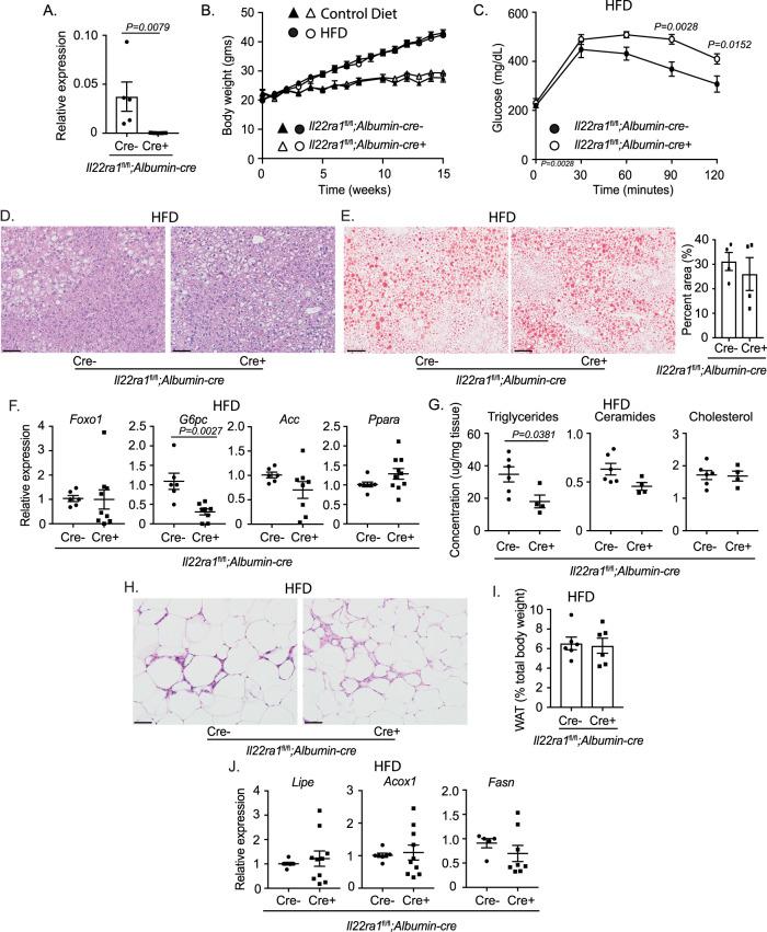 https://cdn.ncbi.nlm.nih.gov/pmc/blobs/69f7/10881576/fe8fb1185fe2/41467_2024_45568_Fig3_HTML.jpg