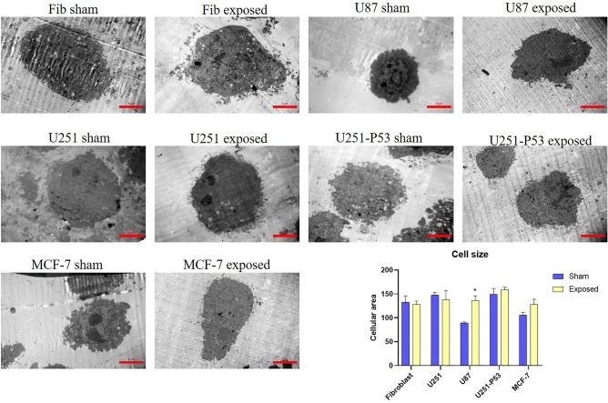https://cdn.ncbi.nlm.nih.gov/pmc/blobs/69f9/10323118/01d7035437cb/41598_2023_38021_Fig6_HTML.jpg