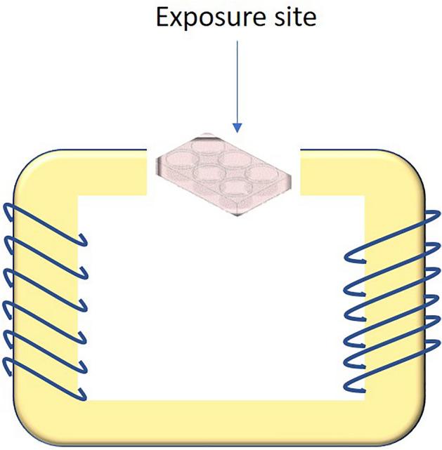 https://cdn.ncbi.nlm.nih.gov/pmc/blobs/69f9/10323118/084d30218ac6/41598_2023_38021_Fig1_HTML.jpg