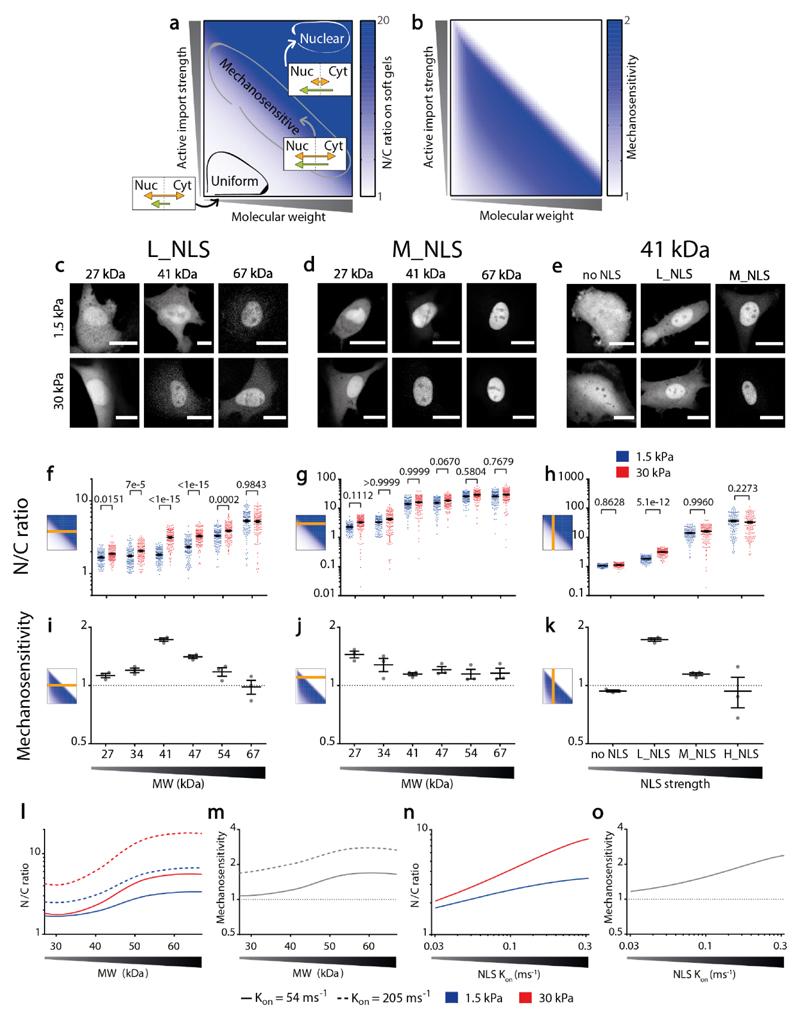 https://cdn.ncbi.nlm.nih.gov/pmc/blobs/69fa/7614780/e78434bc72f0/EMS179322-f004.jpg