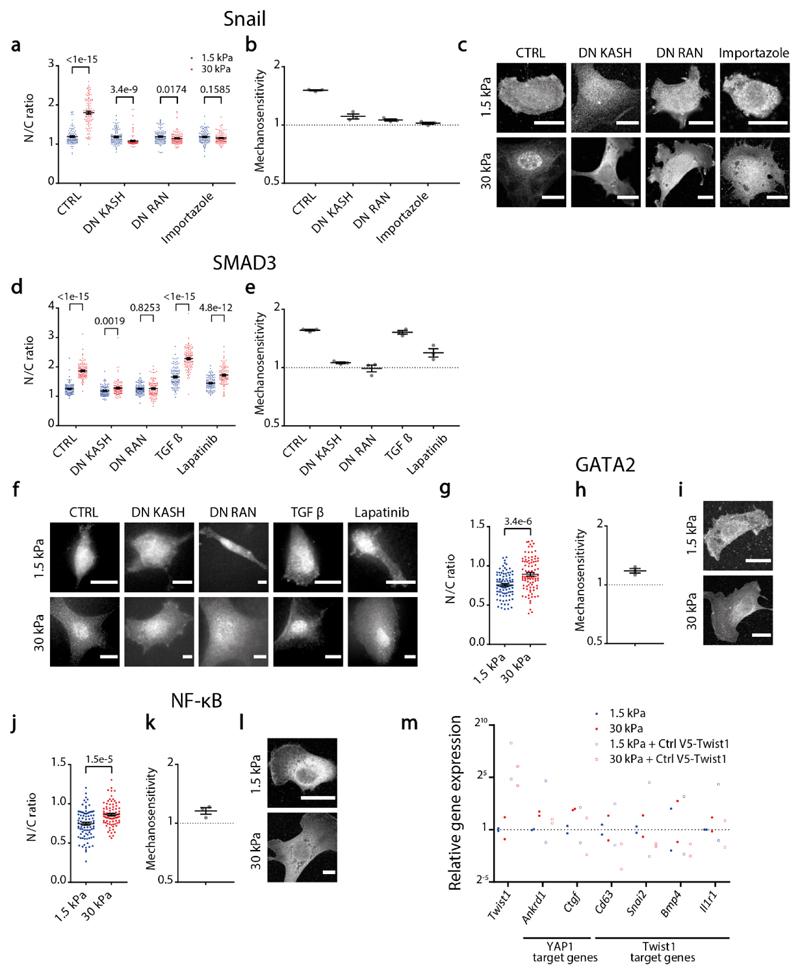 https://cdn.ncbi.nlm.nih.gov/pmc/blobs/69fa/7614780/fb8a6c52ecc8/EMS179322-f013.jpg