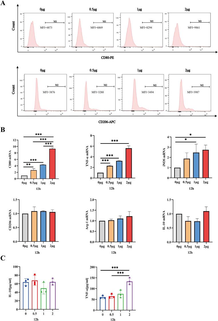 https://cdn.ncbi.nlm.nih.gov/pmc/blobs/69fb/11486762/438273a9e5f0/fcimb-14-1455819-g003.jpg