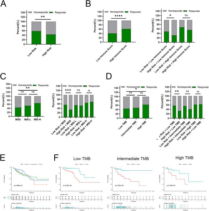 https://cdn.ncbi.nlm.nih.gov/pmc/blobs/69fc/11842742/12b682a7afb6/41598_2024_85035_Fig7_HTML.jpg