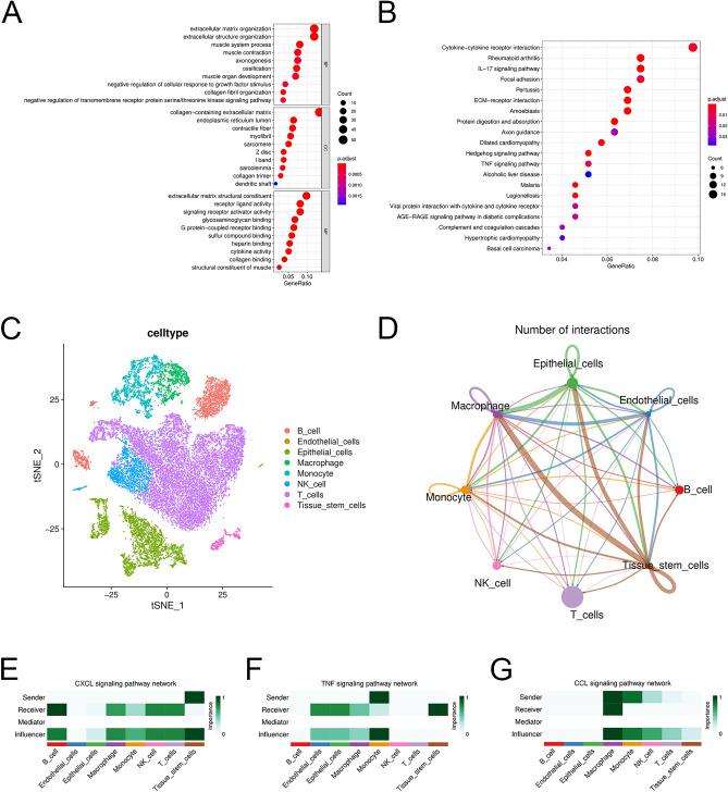 https://cdn.ncbi.nlm.nih.gov/pmc/blobs/69fc/11842742/d603cd9eeea1/41598_2024_85035_Fig4_HTML.jpg