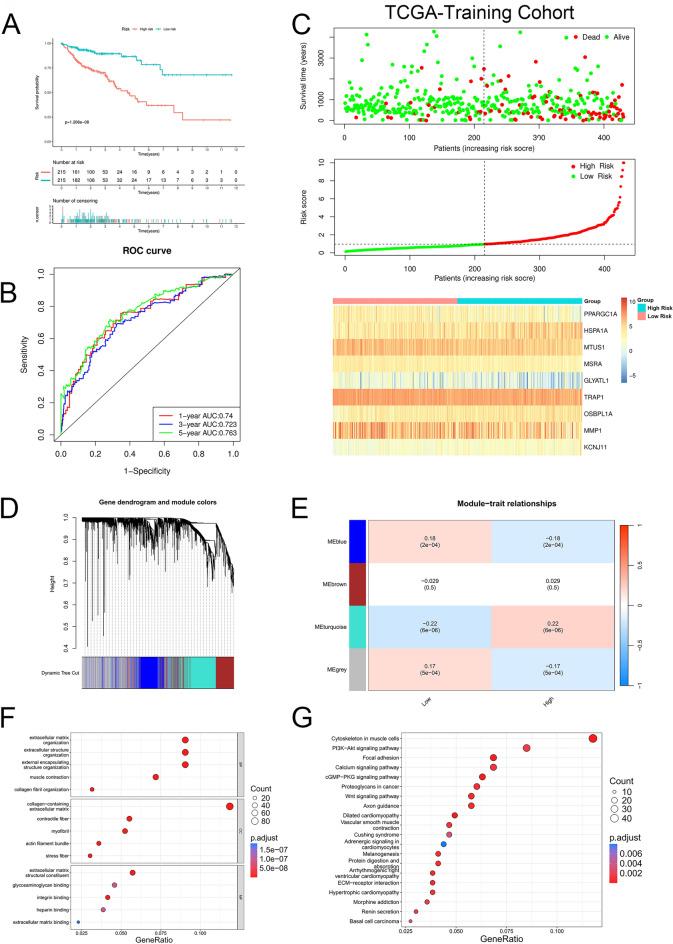 https://cdn.ncbi.nlm.nih.gov/pmc/blobs/69fc/11842742/eae4e0a86ecc/41598_2024_85035_Fig3_HTML.jpg