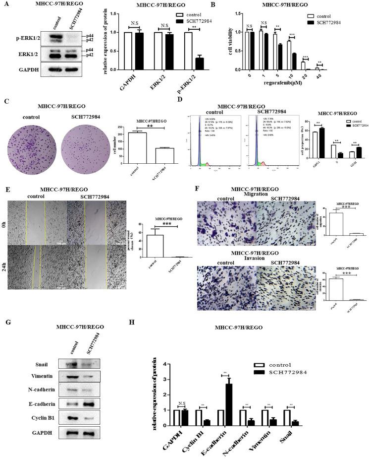 https://cdn.ncbi.nlm.nih.gov/pmc/blobs/69ff/11267041/2a09ef7de344/gr3.jpg
